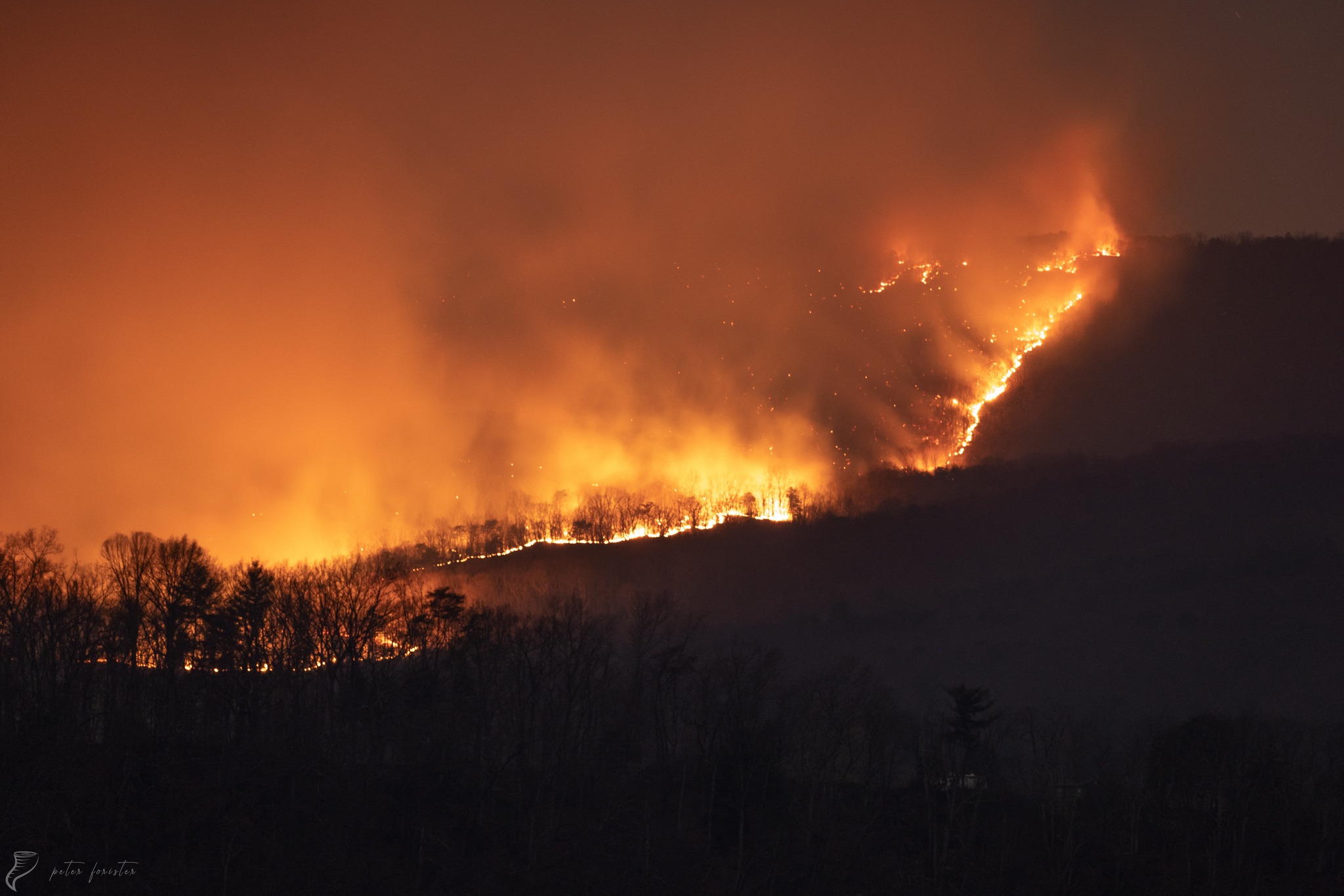 og_virginiamercurycom_2024_04_22_fires-have-consumed-thousands-of-acres-in-virginia-this-spring-that-could-be-a-good-thing-for-the-environment_.jpg