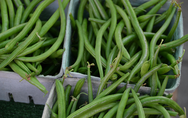 boxes of green beans