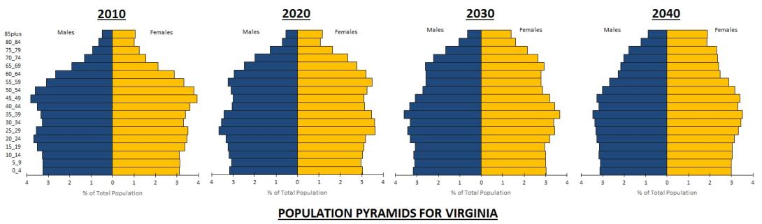 Population pyramids for Virginia