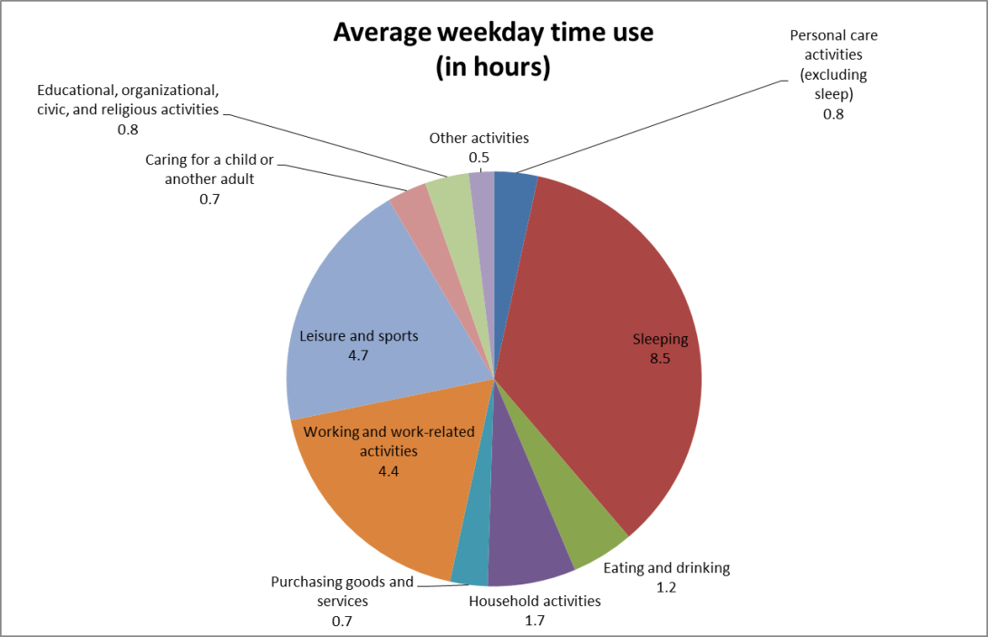 Average Time Use Piechart