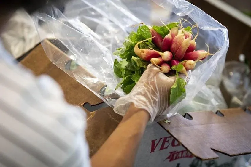 woman holding radishes